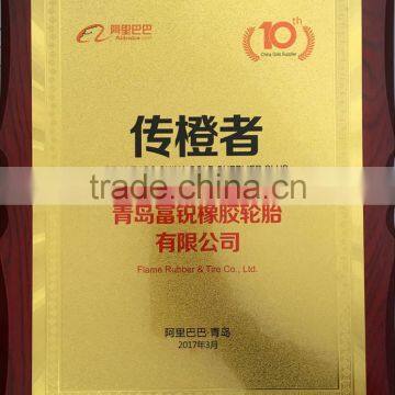 China Tbr Taitong Kapsen Terranking Hs268 Hs918 All Steel Radial Heavy Duty 1200r24 Truck Tyre photo-5