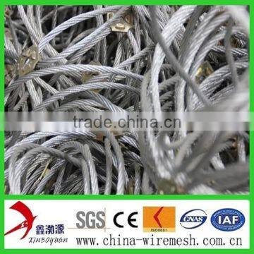 Anping China Supplier Flexible Ring Network/ Passive Slope Netting/flexible Metal Mesh Netting photo-2