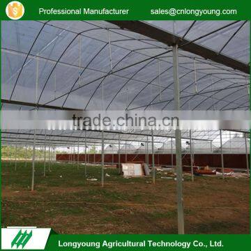 2017 Hot sell custom industrial economical multi span greenhouse