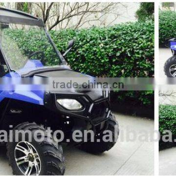 250cc Automatic 2WD Transmission go Kart/ Sport UTV (TKG200-A2) photo-5