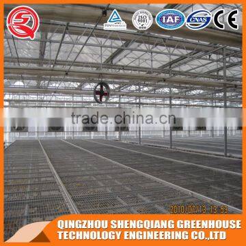 Factory Outlet Wide Multi Span Glass Agricultural Greenhouses photo-6