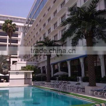 Outdoor Large Decorative Fiberglass Artificial Date Palm Tree