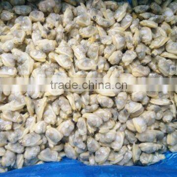 FROZEN YELLOW CLAM MEAT