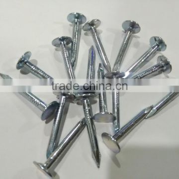 Big Head Ceiling Nails/Galvanized Clout Nails