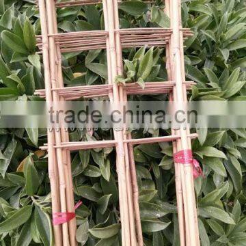 Factory Direct Sale Bamboo Cane Trellis /holding Bamboo Trellis/make Bamboo Garden Trellis photo-3