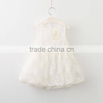 Summer New Style Princess Dress Lace Kids Clothes Girls Dresses Baby photo-2