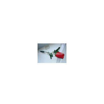 record rose