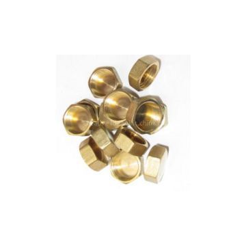 Brass Hex Female Cap