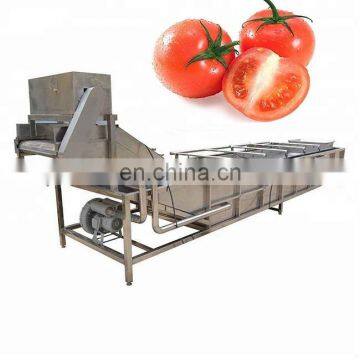 small tomato washing machine for selling