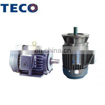 TECO brand global services cast iron housing high efficiency motor