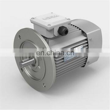 YE3 Series Electric Motor Sale Three Phase Induction Motor for Industry Machinery 3 Phase Asynchronous Motor photo-2
