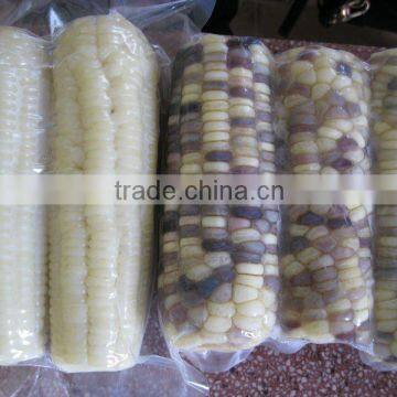 USA Frozen Yellow Sweet Corn Exporting Vietnam