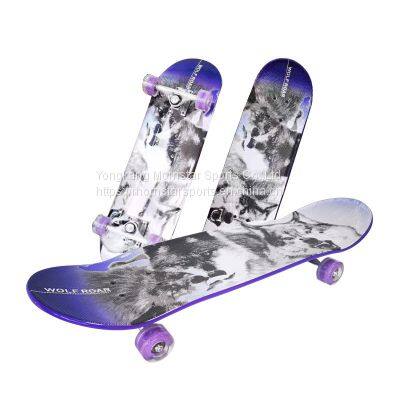 Customized Graphic Plastic Cruiser 28inch Double Kick Surf Longboard Skateboard photo-3