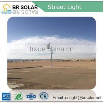 hot sale competitive price round double arm street light pole                        
                                                Quality Choice