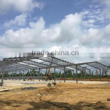 Epoxy painted steel structure building for dairy factory exported to Cameroon with SGS