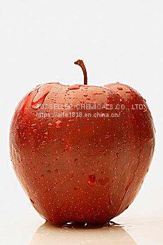 OEM Dishwashing Liquid Detergent - Foam Rich photo-3