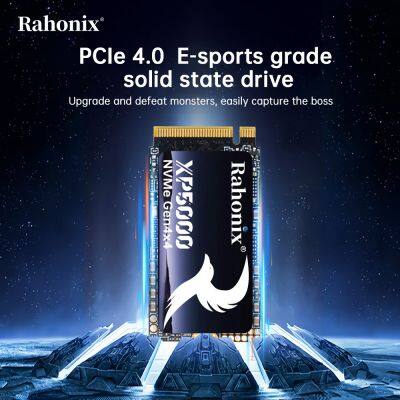 XP5000 Series M.2 NVMe 2242 PCIe4.0x4 SSD, Read Speed up to 5000MB/s photo-3