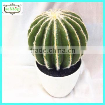 25cm high quality real touch wholesale cactus