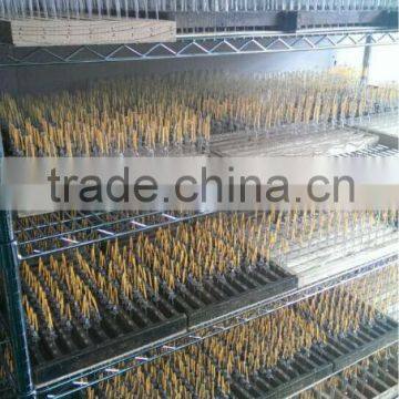 A60 4w E27 220v-240v Filament Led With CE&RoHS 2Years Warantty Warm Whit photo-5