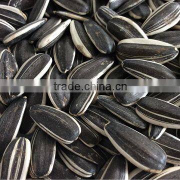 striped sunflower seeds hulled sunflower seeds