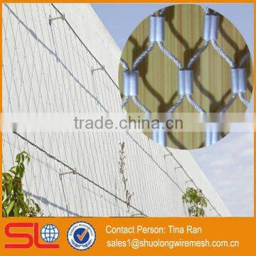 Flexible Stainless Steel Cable Net for Protection photo-2