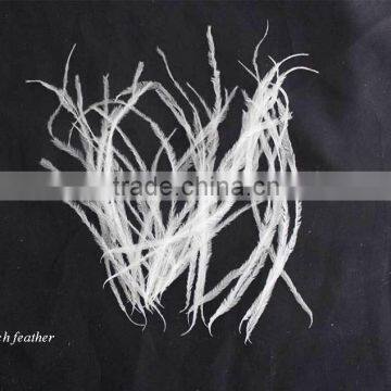 Wholesale white ostrich feather