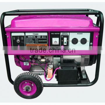 Portable generator