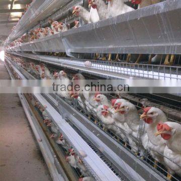 Wire Mesh Poultry Battery Farming Cage System for Sale