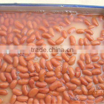 Red Kidney Beans photo-2