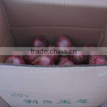 New Red Onion With Best Price photo-3