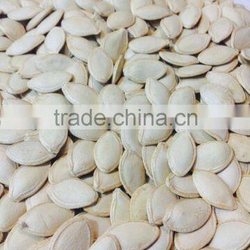 Bulk Vegetable Seeds China Shine Skin Pumpkin Seeds Grade a photo-2