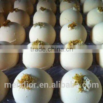 Mendior Calendula officinalis Anti-inflammatory handmade Bath Bombs big size OEM brand