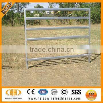 Alibaba best supplier hot sale good quality cattle livestock