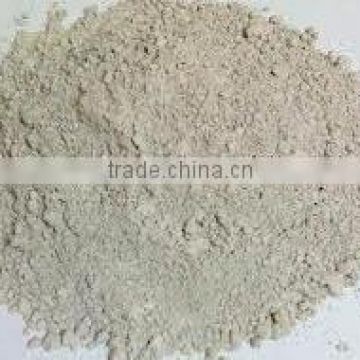 DIATOMACEOUS EARTH