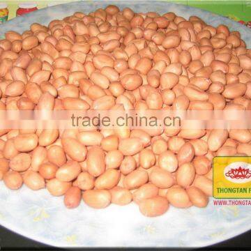 Groundnut Kernel