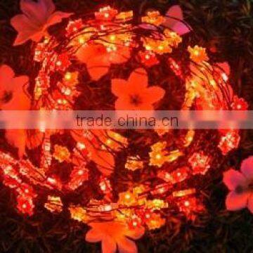 LED Festival Lights photo-4