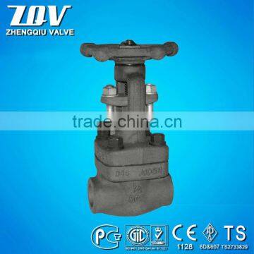 NPT ASTM A105 300# Gate Valve