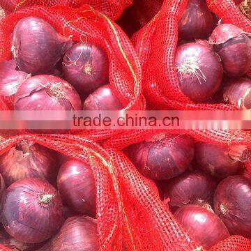Red Bombay Onion photo-4