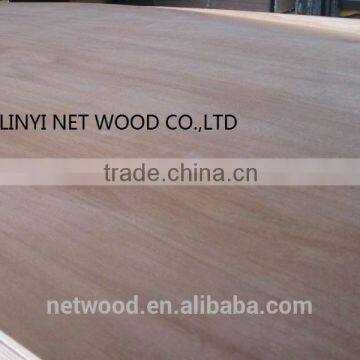Linyi 3mm Okoume Plywood Factory photo-2
