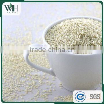 2016 Sortexed India Hulled White Sesame photo-6