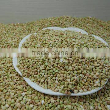 Chinese Best Raw Buckwheat Kernel photo-3