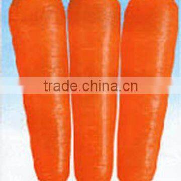 Greenfarm Red Carrot For Selling