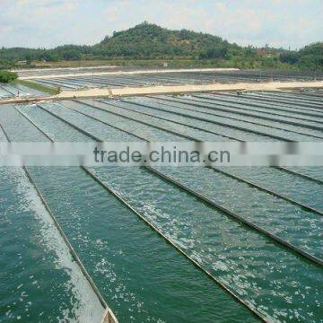 2017 Hot Sell Spirulina Powder at Competitive Price photo-3