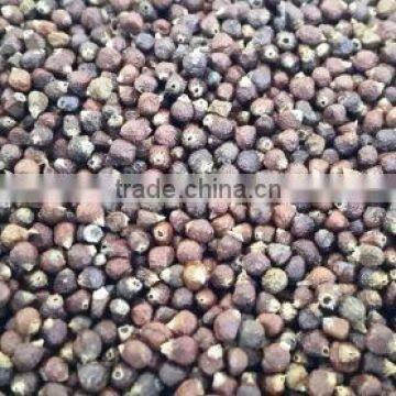 African Black Pepper