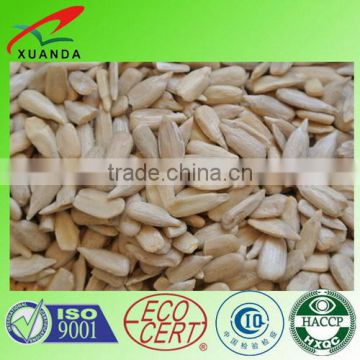 sunflowerkernel great sunflower seeds kernel china inner mongolia