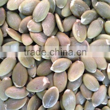 Shine Skin Pumkin Seeds Kernels Grade A From Inner Mongolia