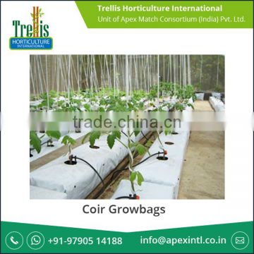 Highly Accurate Widely Use Coir Growbags Price