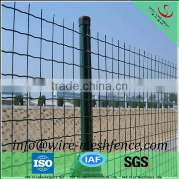 holland fence /netherland fence/Euro fence with high quality and low price