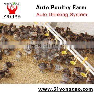 automatic poultry drinking for chicken poultry equipment price for chicken farm