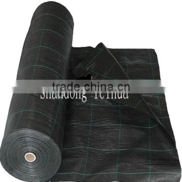 Low price agricultural and constructed woven polypropylene fabric in roll